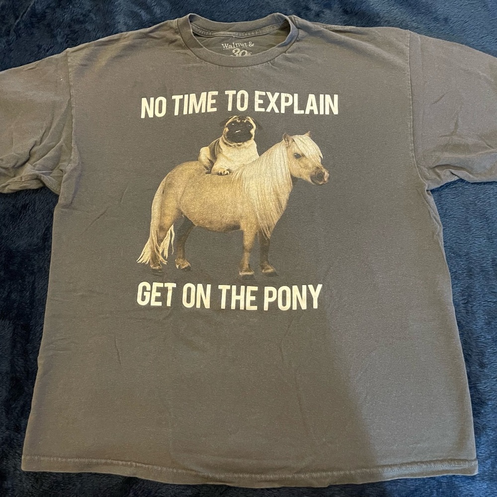 Men’s Pug Graphic Tee (bin b)